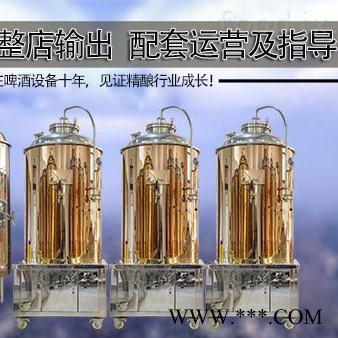 郑州大帝科技500L玫瑰金人孔版发酵罐 小型酿酒设备 自酿精酿啤酒设备