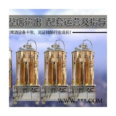 郑州大帝科技500L玫瑰金人孔版发酵罐 小型酿酒设备 自酿精酿啤酒设备