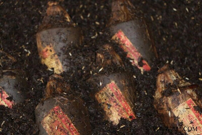 金窖酒业 洞藏老坛酒 贵州茅台镇  白酒代理 酱香型白酒批发图4