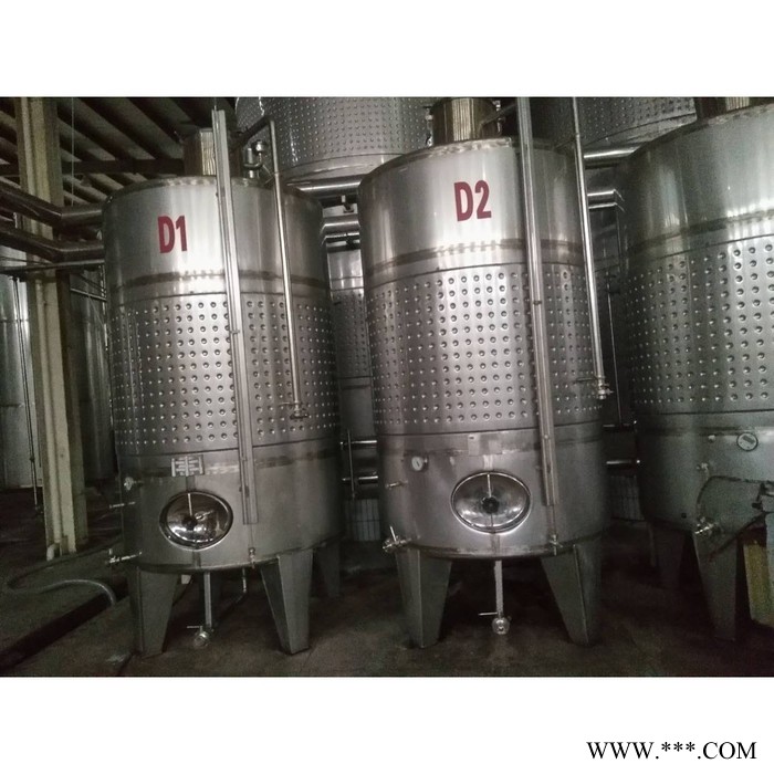精诚 葡萄酒发酵罐 啤酒蓝莓酒发酵罐 不锈钢发酵罐 厂家定制图2