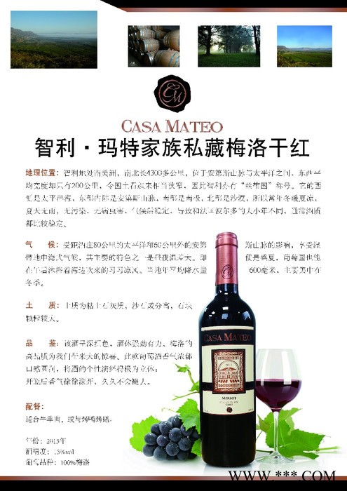 玛特家族私藏干红葡萄酒全国招商智利总代理图2