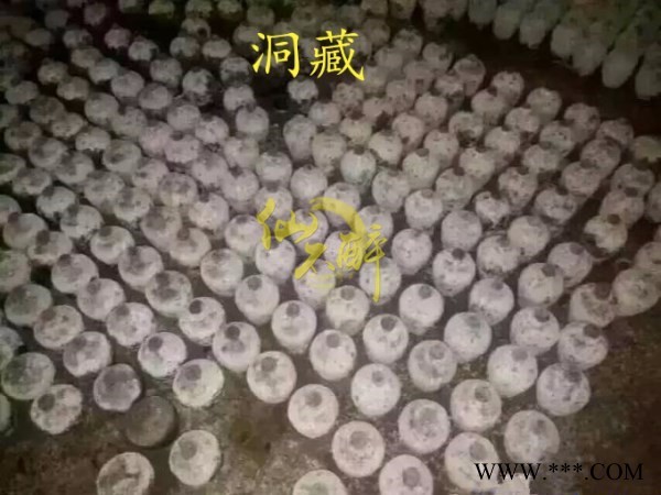陈年白酒 洞藏老坛酒诚招代理经销商图2