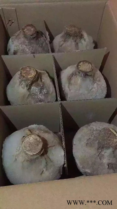 陈年白酒 浓香型洞藏老坛酒图3