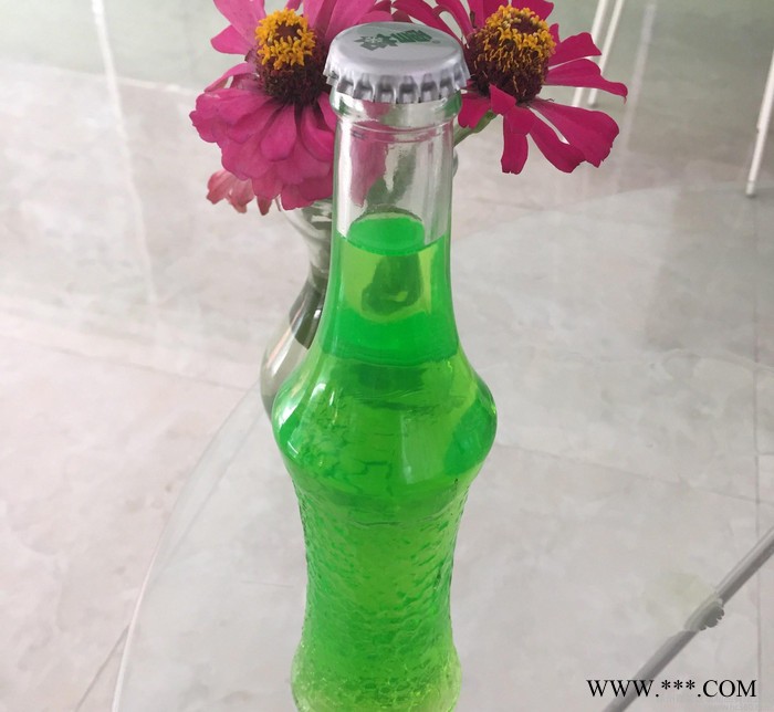 定制玻璃瓶  红酒瓶 白酒瓶 新款250ml 玻璃饮料瓶图2