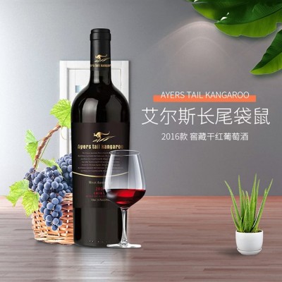 艾尔斯长袋鼠