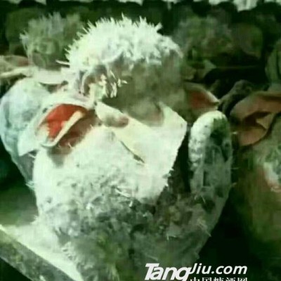 古家百年窖藏酒