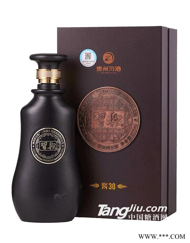 习典酱30图1