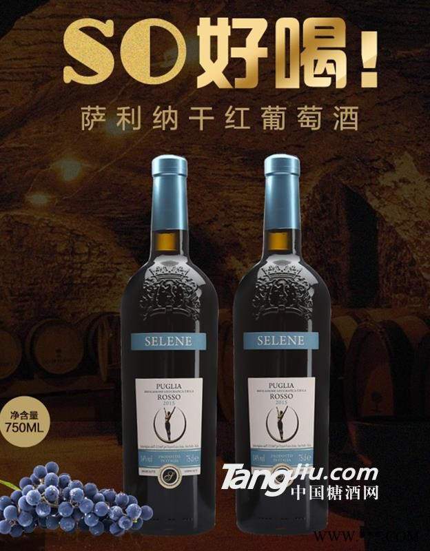 萨利纳干红葡萄酒图1