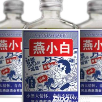 燕小白1号