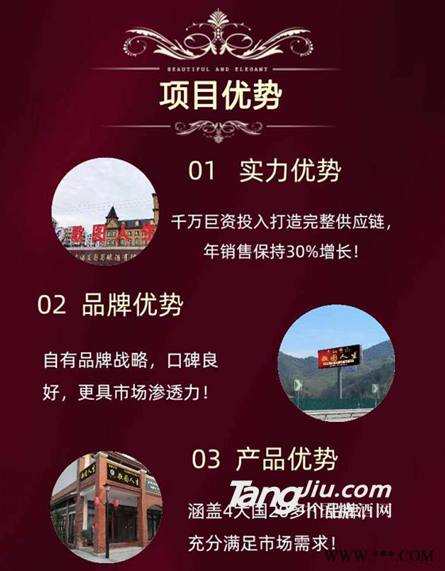 项目优势图1