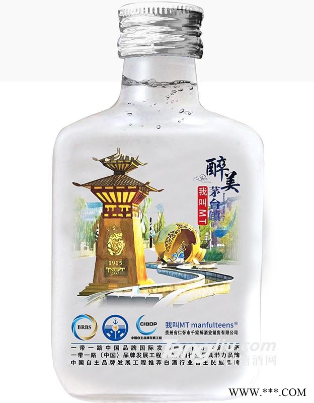 46度我叫MT 茅台镇100ml