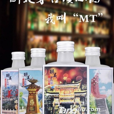 46度 我叫MT茅台镇系列100ml