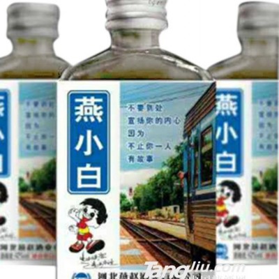燕小白2号