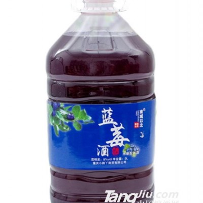 低度蓝莓酿果酒 5L