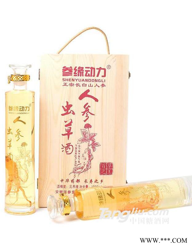 人参虫草酒图1