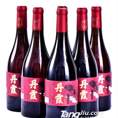 果墅梅750ml杨梅红酒招商