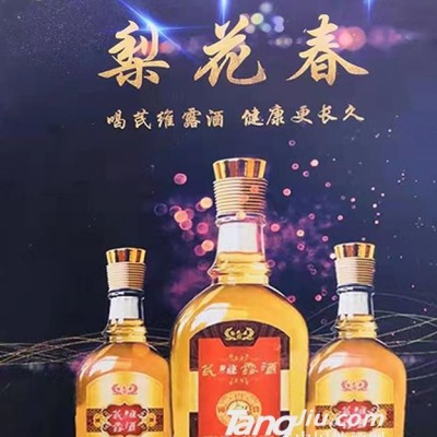 芪维露酒系列海报