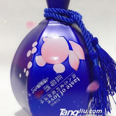 抖音网红蓝莓酒518ml