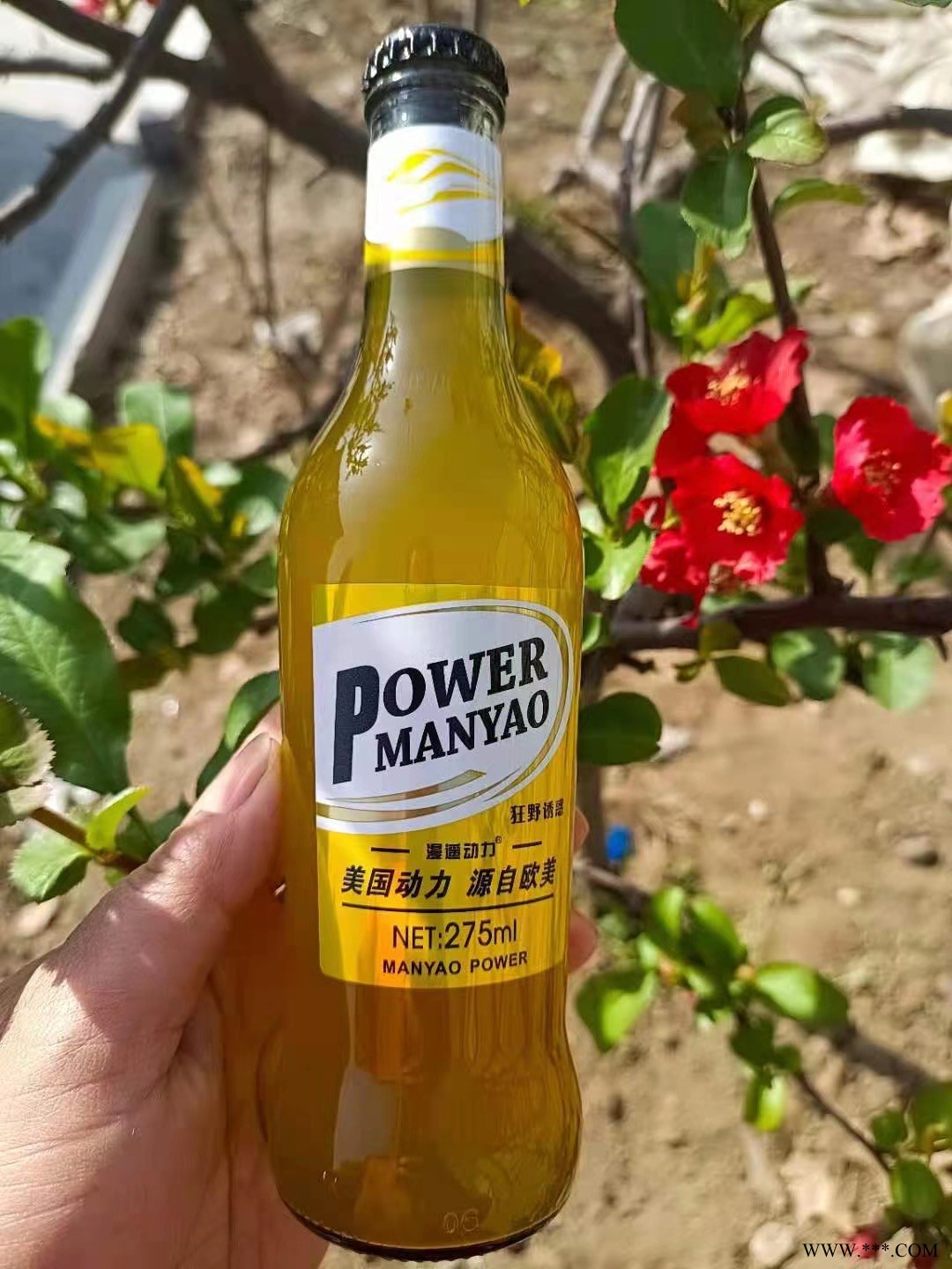 漫遥动力苏打酒图5