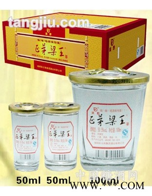 正茅梁王酒100ml图1