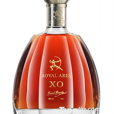 战臣XO白兰地300cl-300ml
