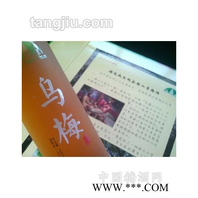 茶园山磨砂瓶乌梅酒