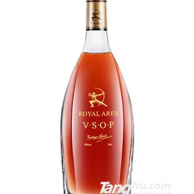 战臣VSOP白兰地300cl-300ml