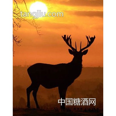 快乐吉祥