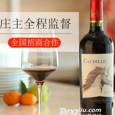 智利红酒酒庄直供考迪罗梅洛干红葡萄酒蓝标-750ml