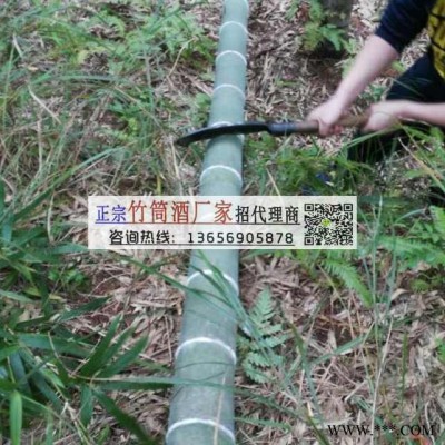 生态活竹酒