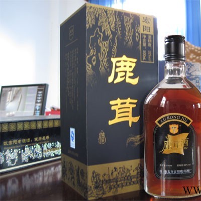 宏阳鹿茸酒（500ml）