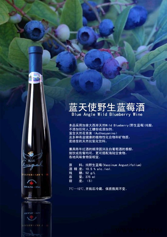 蓝莓酒图1