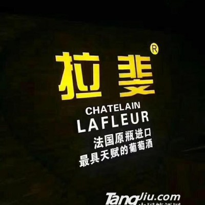 拉斐海报