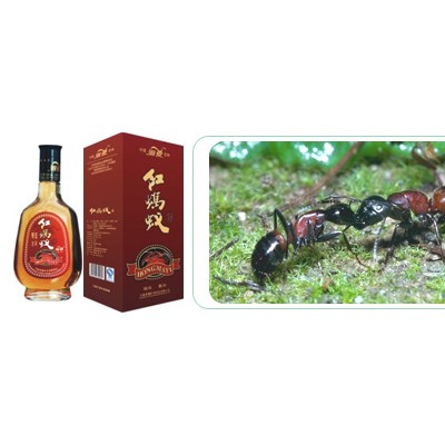 红蚂蚁酒