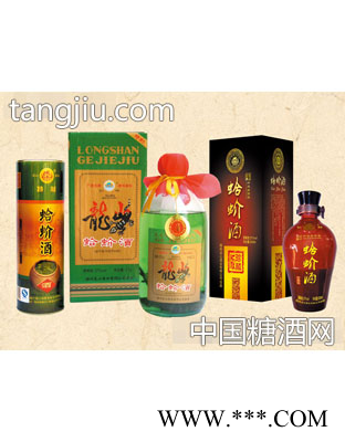 37°蛤蚧酒图1