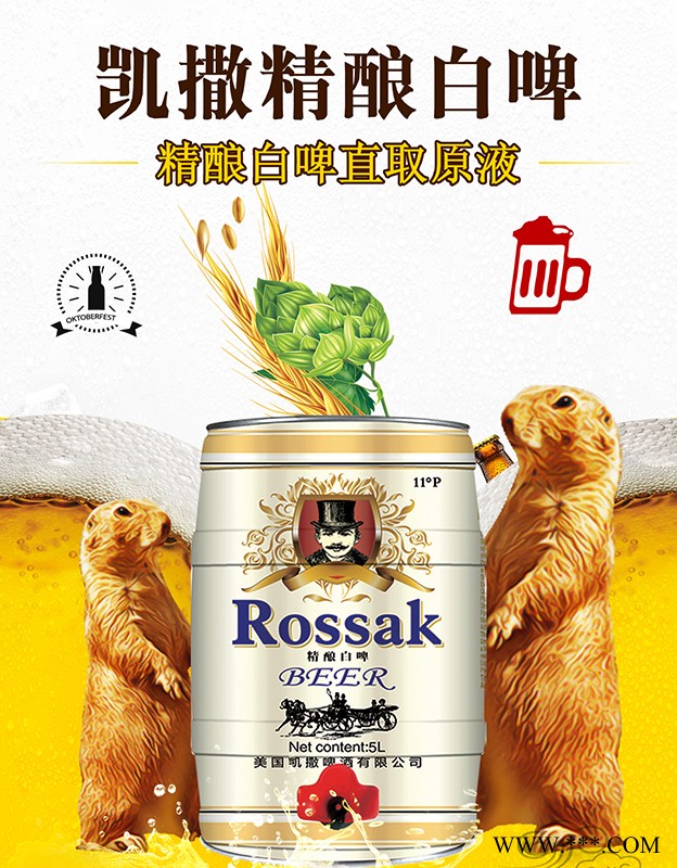 凯撒精酿白啤5L图4