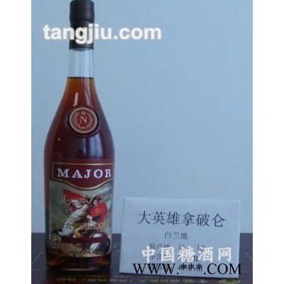 大英雄拿破仑白兰地700ml