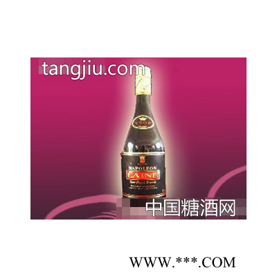 朱尔斯拿破仑