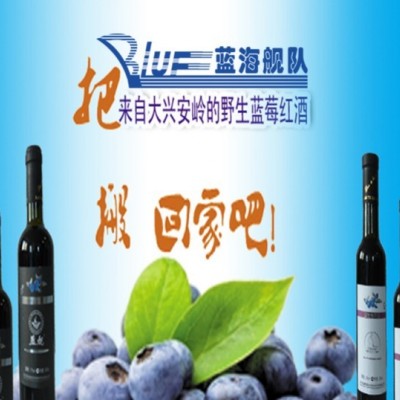 蓝海舰队保健银杏酒