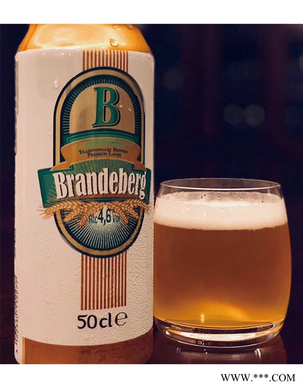 法国之光冰山啤酒B46图3