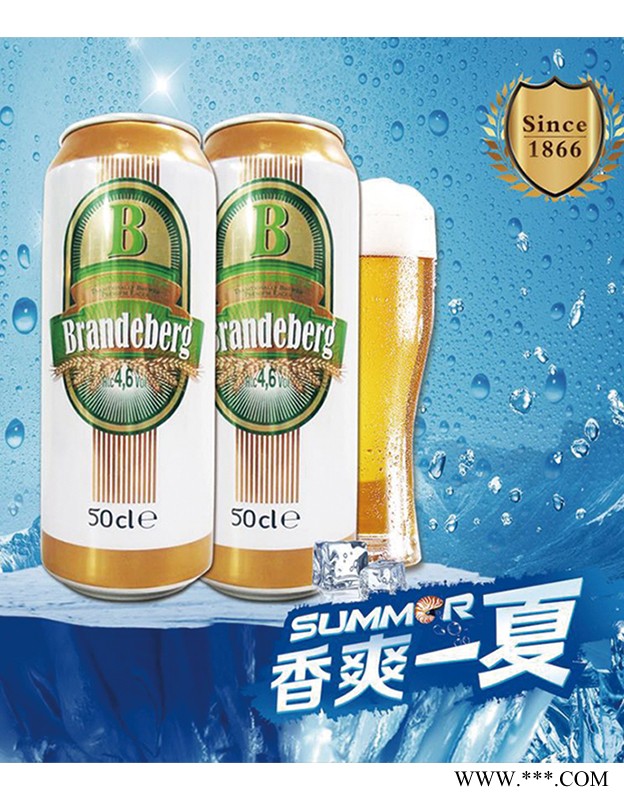 法国之光冰山啤酒B46图4