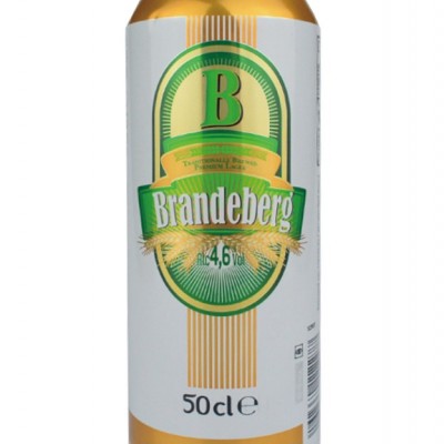 法国之光冰山啤酒B46