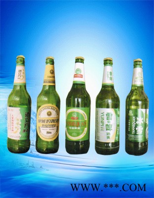 600ml瓶装啤酒—晏河泉图1