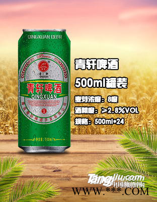 青轩易拉罐500ml图1
