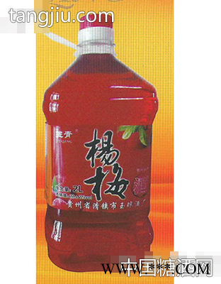 杨梅酒2L