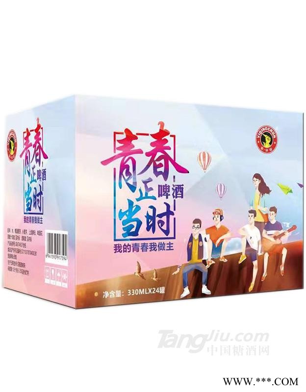 青春正当时啤酒细高罐装-330mlx24图1