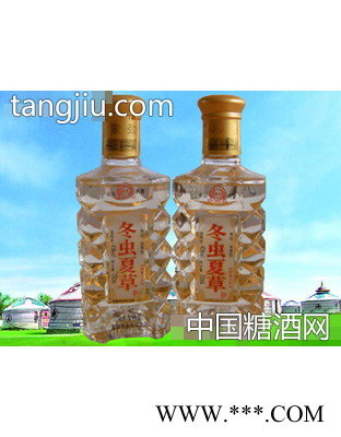 6年冬虫夏草酒图1