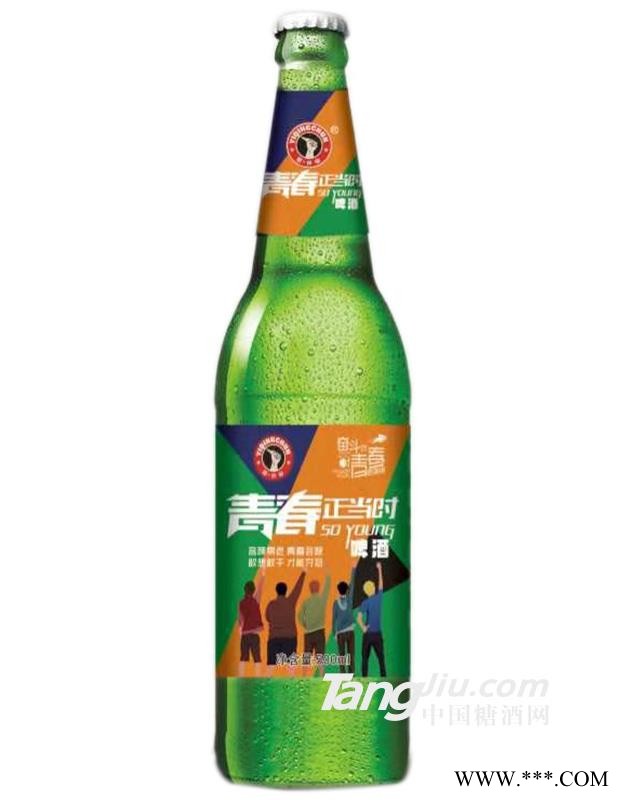 青春正当时啤酒瓶装-500ml图1
