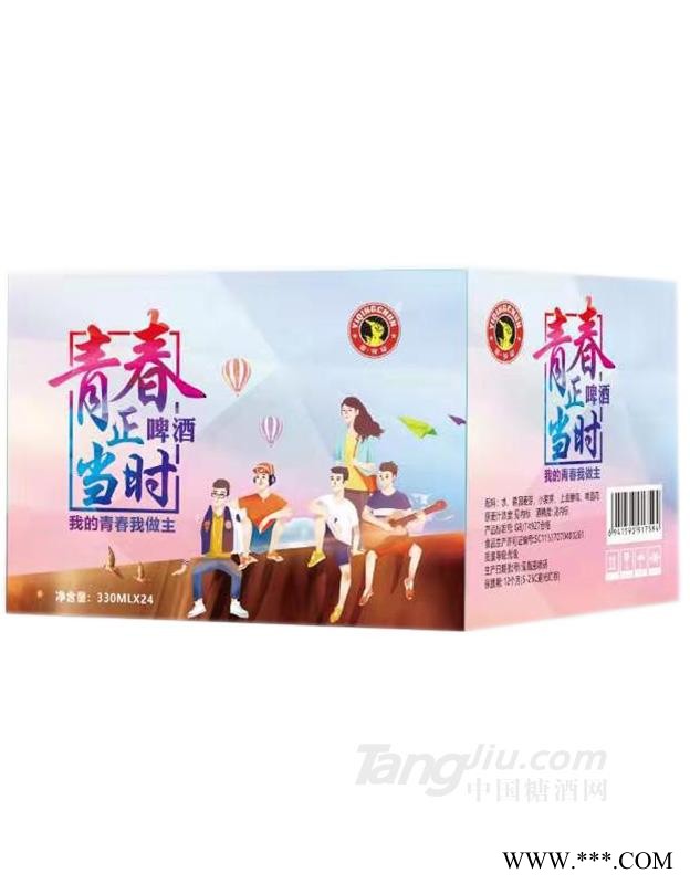 青春正当时啤酒瓶装-330mlx24图1