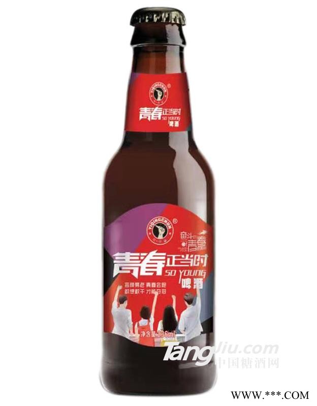 青春正当时啤酒瓶装-236ml图1